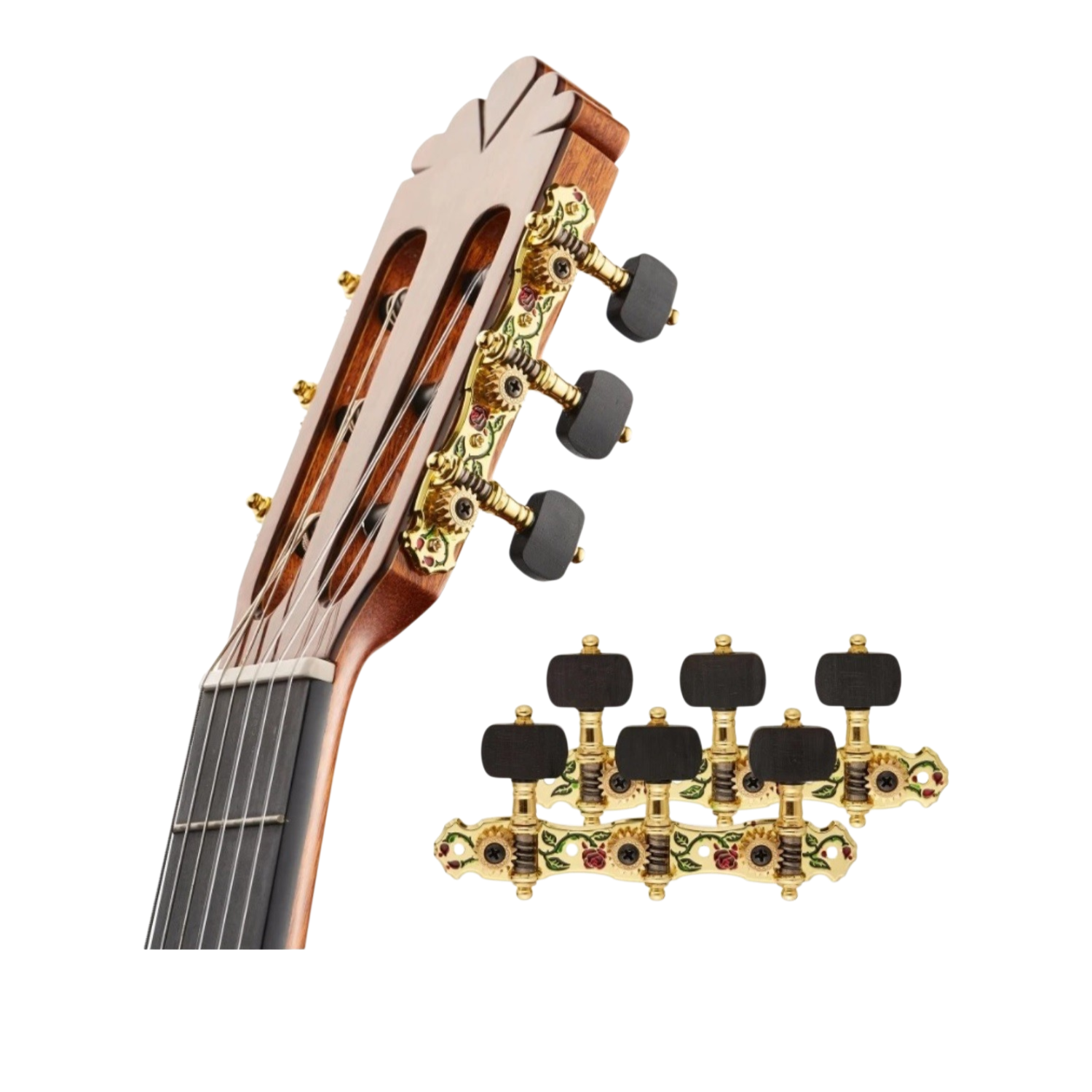 Clavijeros